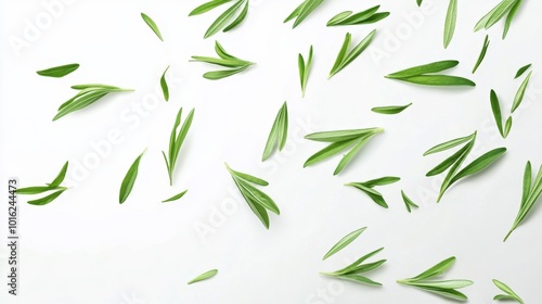 Fresh tarragon leaves floating against a white background. Realistic depiction of light delicate herb slices scattered in mid-air for culinary and visual appeal.. Generative AI