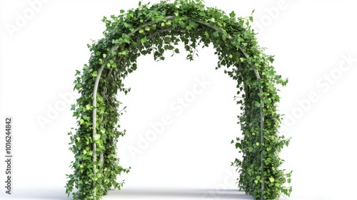 Garden arch covered with green ivy vines isolated on a white background natural and elegant. Generative AI