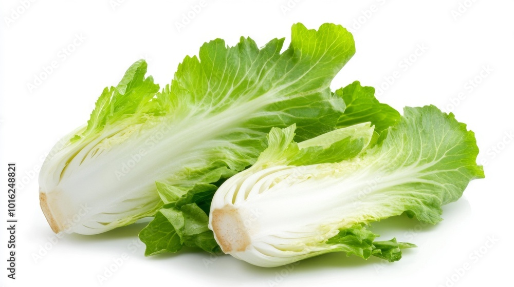 Fresh endive lettuce halves isolated on a white background with vibrant green leaves ideal for culinary and food design concepts.. Generative AI Fresh endive lettuce halves isolated on a white background with vibrant green leaves ideal for culinary and food design concepts.. Generative AI
