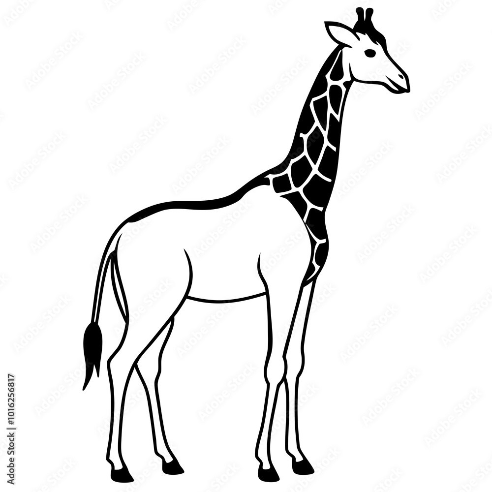giraffe vector illustration giraffe vector illustration