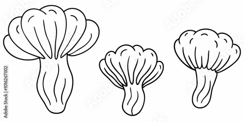 Lion's mane mushroom outline collection for nature and culinary designs
