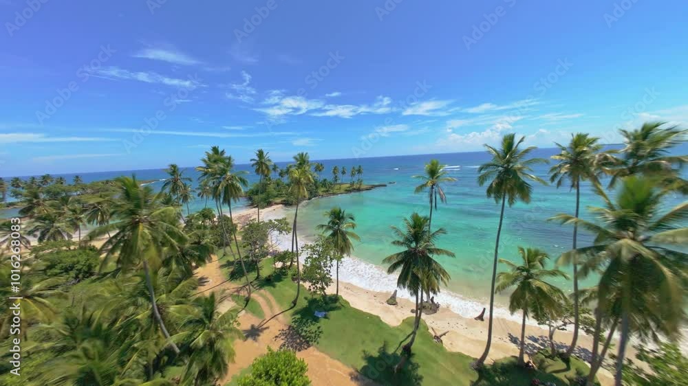Fpv flight along beach of coquitos during sunny day with palm trees and blue Caribbean Sea. Speed forward flight. Fpv flight along beach of coquitos during sunny day with palm trees and blue Caribbean Sea. Speed forward flight.