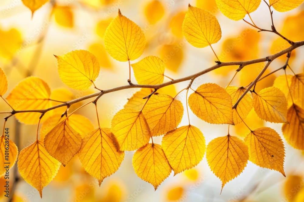 An intimate shot of bright yellow leaves attached to a twig, contrasted against a white background, evoking themes of nature's beauty and the spirit An intimate shot of bright yellow leaves attached to a twig, contrasted against a white background, evoking themes of nature's beauty and the spirit