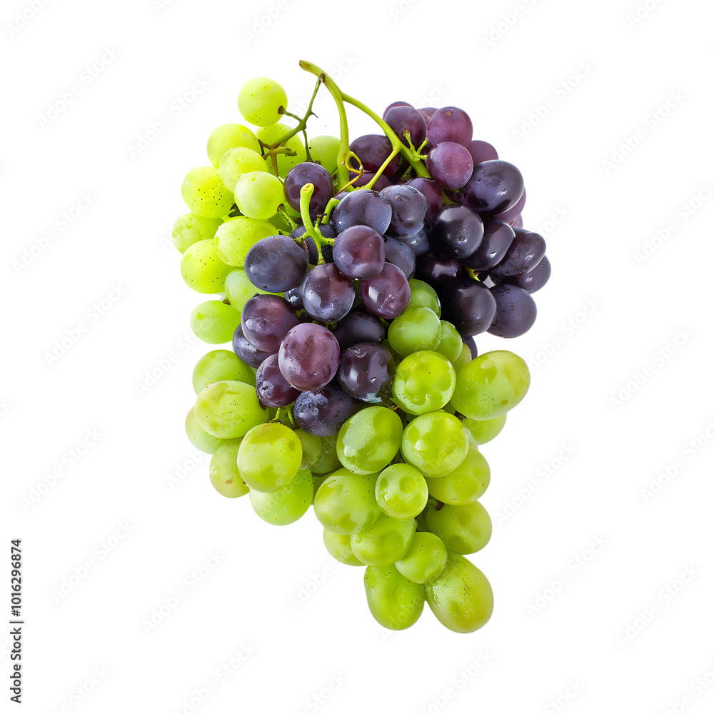 Fresh bunch of green and purple grapes on a vine with vibrant colors Fresh bunch of green and purple grapes on a vine with vibrant colors