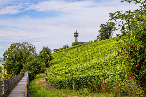 Le Phare de Verzenay au milieu des vignobles de vin pétillant de Champagne photo