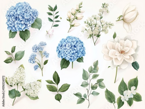 2408 32.A detailed botanical vector collection showcasing blooming garden flowers like blue hydrangeas, soft blush roses, and pastel dahlias, surrounded by magnolia blossoms and lush eucalyptus photo