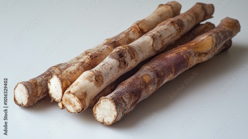 Close-up of several brown and white raw burdock roots on a white background. Close-up of several brown and white raw burdock roots on a white background.