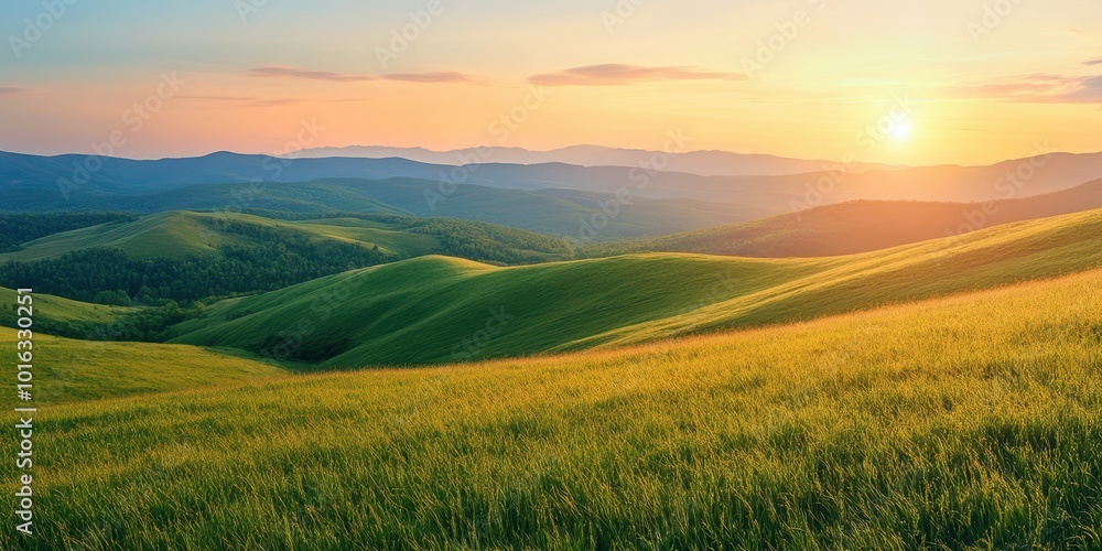 Obraz premium A breathtaking view of rolling hills bathed in golden sunlight, highlighting nature's beauty at sunrise.