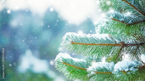 Snowy winter forest background with a close-up of a snow-covered fir tree branch