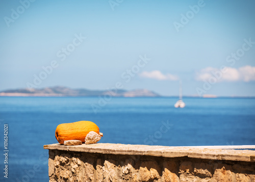 Fototapeta Naklejka Na Ścianę i Meble -  pumpkin on a wall on the shore in croatia