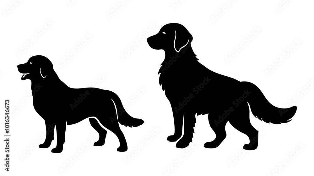 beautiful sequence of a golden retriever dogs silhouette image beautiful sequence of a golden retriever dogs silhouette image