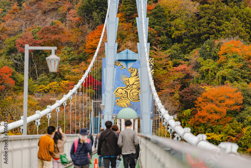 竜神大吊橋 photo