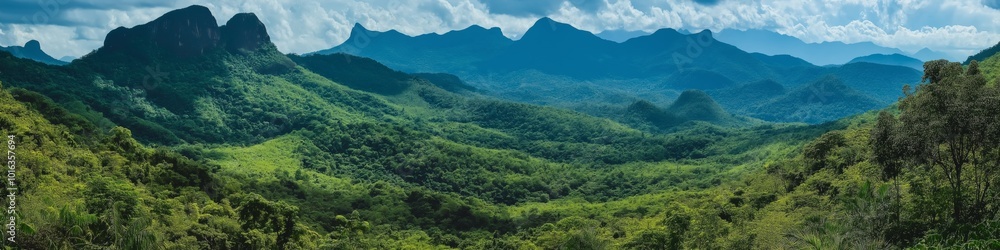 A mountain range with a lush green forest in the foreground. The mountains are covered in trees and the sky is clear A mountain range with a lush green forest in the foreground. The mountains are covered in trees and the sky is clear