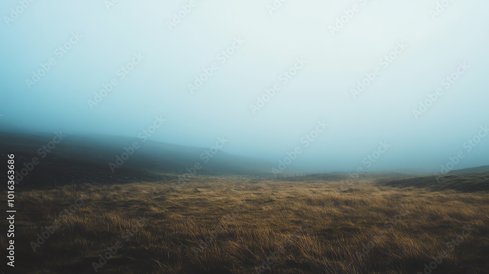 A foggy, tranquil field with a distant hill. A foggy, tranquil field with a distant hill.