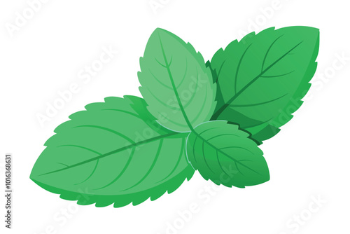 Mint cut out element, isolated on a white background.