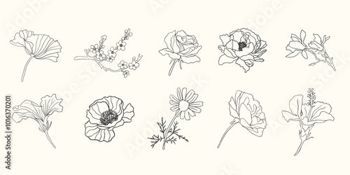 Flowers Vector Illustration Set. Botany Floral Art