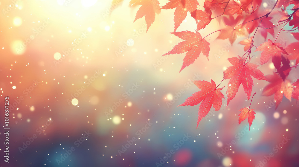Red maple leaves in autumn sunlight Red maple leaves in autumn sunlight