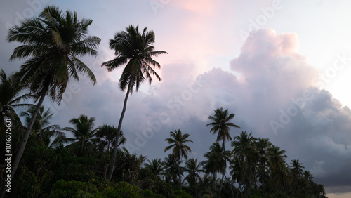 Fototapeta Naklejka Na Ścianę i Meble -  Stormy weather in Fuvahmulah, the maldives
