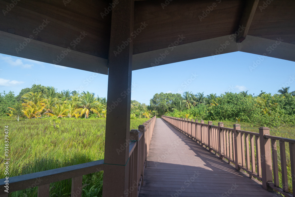 Fuvahmulah wetland nature park in the Maldives Fuvahmulah wetland nature park in the Maldives
