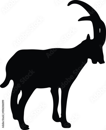 Goat standing silhouette  photo