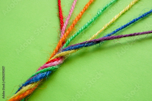 Fototapeta Rope twisted from multicolored threads. Unity and diversity.