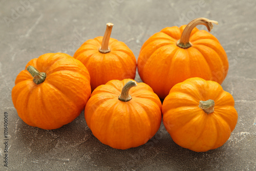 Mini orange pumpkins on grey concrete background.