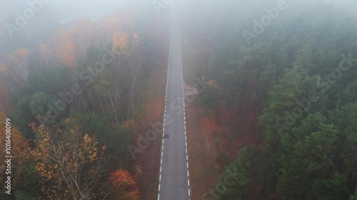 Misty Autumn Road Through the Woods: Aerial View