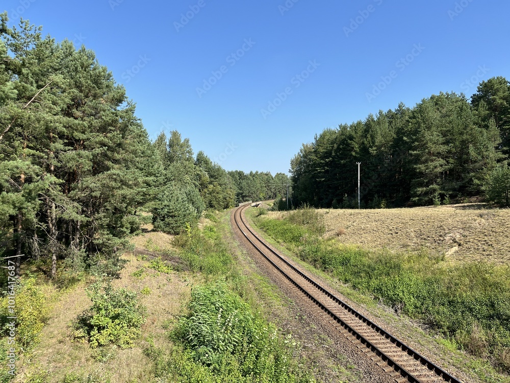 Railway tracks in the middle of a green forest in summer. Railway tracks in the middle of a green forest in summer.