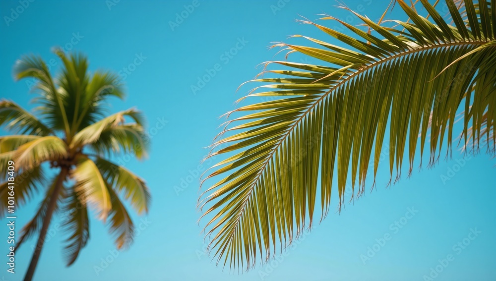 Tropical summer scene featuring palm trees as backdrop Tropical summer scene featuring palm trees as backdrop
