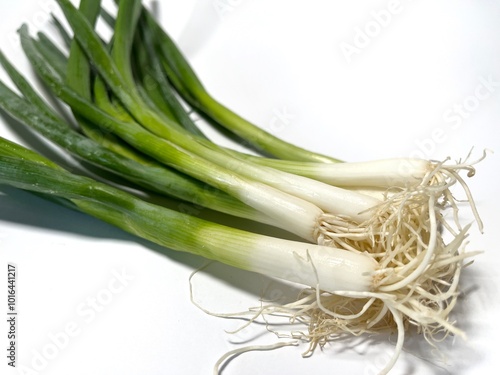 A bunch of fresh green onions with long, dark green stalks and white bases. The roots are visible at the bottom. A bunch of fresh green onions isolated on white background