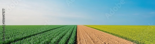 Half-impact weather simulation recreating moderate weather conditions to study crop resilience, half  impact, weather simulation