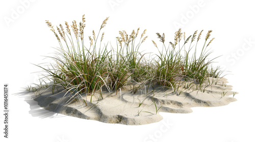 A coastal restoration project features a wave-like arrangement of sea oats and beach grass, designed to prevent erosion. The design is isolated on a PNG background. 