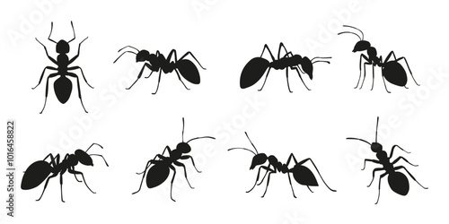 ant silhouettes on the white background