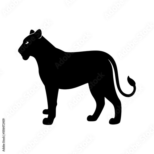 Lioness standing, walking and running silhouette 