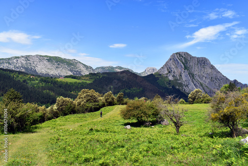 A hiker walks through the m...