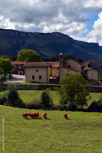 Landscape with the village ...
