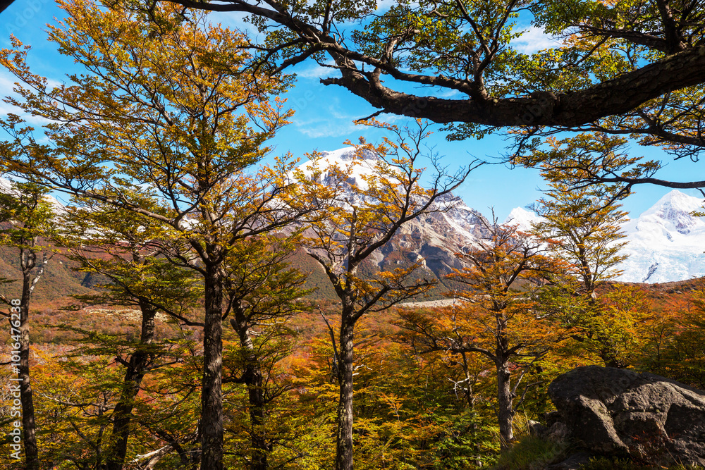 Fototapeta premium Autumn in Patagonia