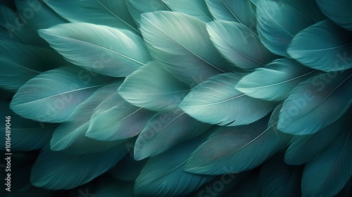 an elegant highresolution photo showcasing a background of delicate feathers arranged in a minimalist style,a soothing sage green color palette that exudes a sense of calm and sophistication photo