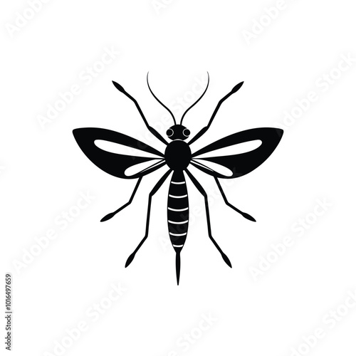 Mosquito silhouette or vector 