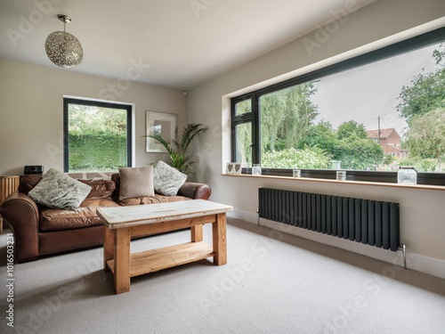 Furnished living room with contemporary radiator