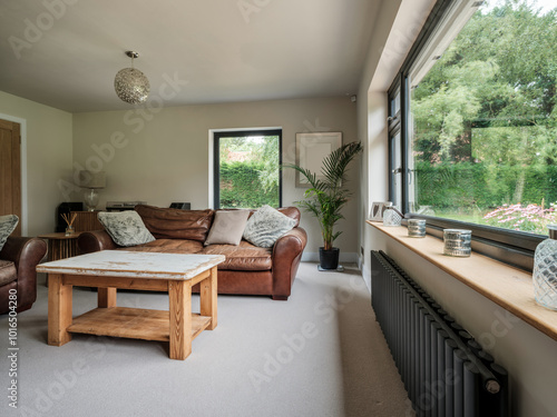 Furnished living room with contemporary radiator