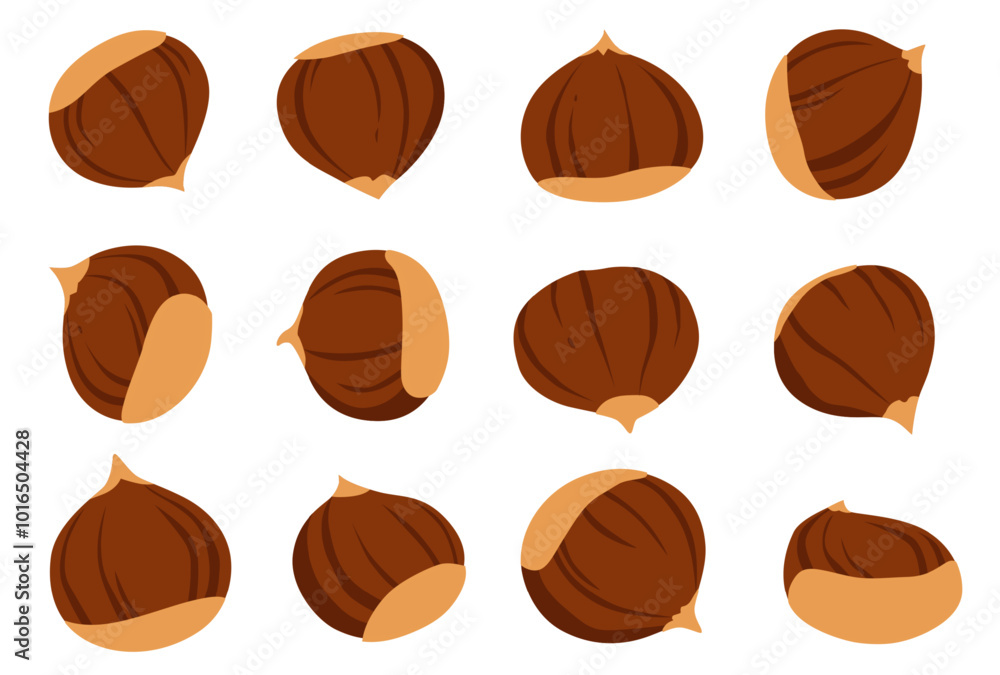 Chestnut vector isolated on white background. Chestnut vector isolated on white background.