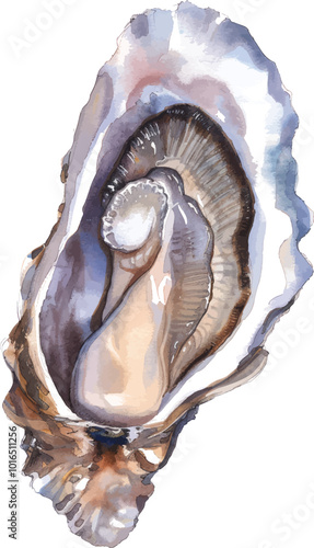 Watercolor Oysters, Oyster print, Oyster art, Abstract oyster, Coastal watercolor painting, Nautical watercolor painting, Mollusks, Seafood