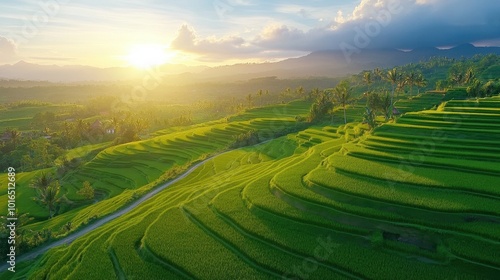 Serene rice terraces cascading down a hillside, glowing golden under the soft light of sunrise