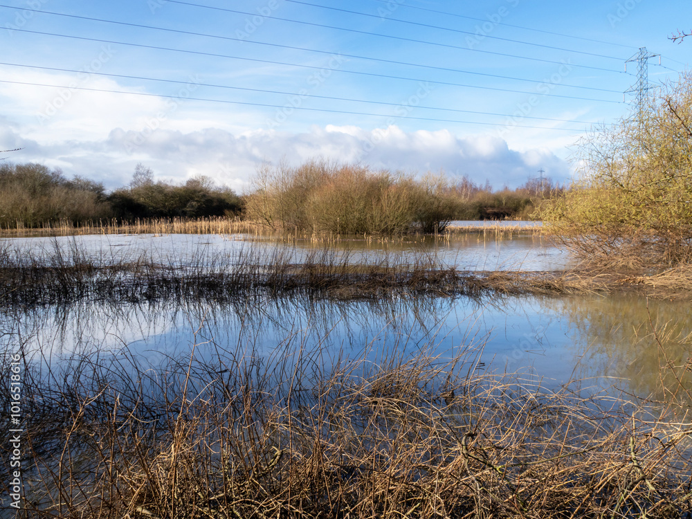 Flooded wetland habitat in winter with a blue sky Flooded wetland habitat in winter with a blue sky