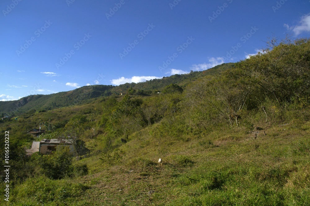 El Estado Tachira nos deleita con su variedad de paisajes,altas montañas y llanos cultivables. El Estado Tachira nos deleita con su variedad de paisajes,altas montañas y llanos cultivables.