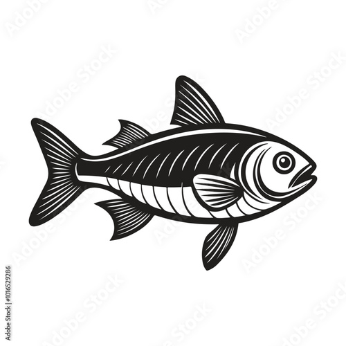 Hilsa Fish vector illustration, Hilsa silhouette