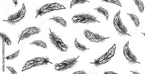 Feather Pattern on white Black and White 
