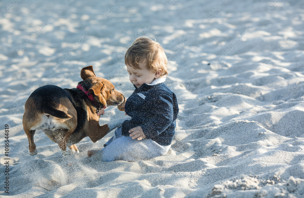 Little baby boy with dog playing on ocean beach. Toddler kid during family sea vacation. Summer water fun. Little baby boy with dog playing on ocean beach. Toddler kid during family sea vacation. Summer water fun.