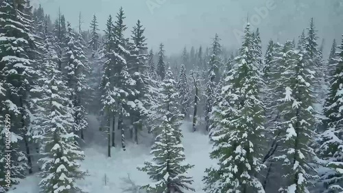 serene beauty snow falling gently inmountainous forest tranquil winter landscape snowy spruce trees white snowdrifts incold woodland setting vertical nature tree christmas cold background water photo